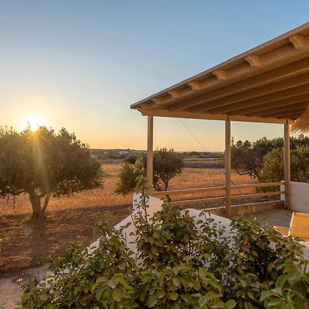 Apartamento Olivine *